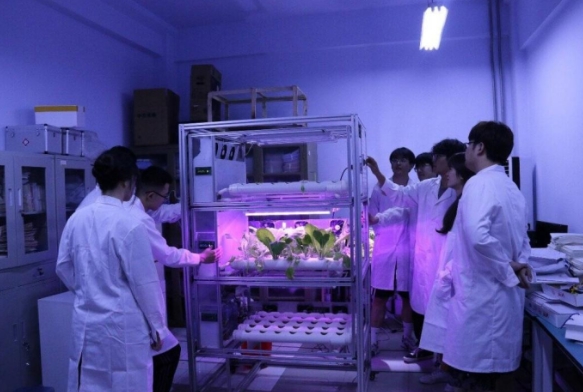 “智种空间”：大学生科技助农，青春在智慧农业中绽放