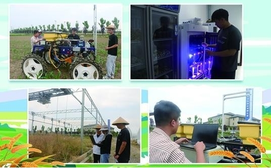 大学生投身天地间 “农工结合”的劳动实践啥样