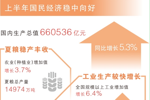 稳新畅进，经济半年报含金量高（权威发布）